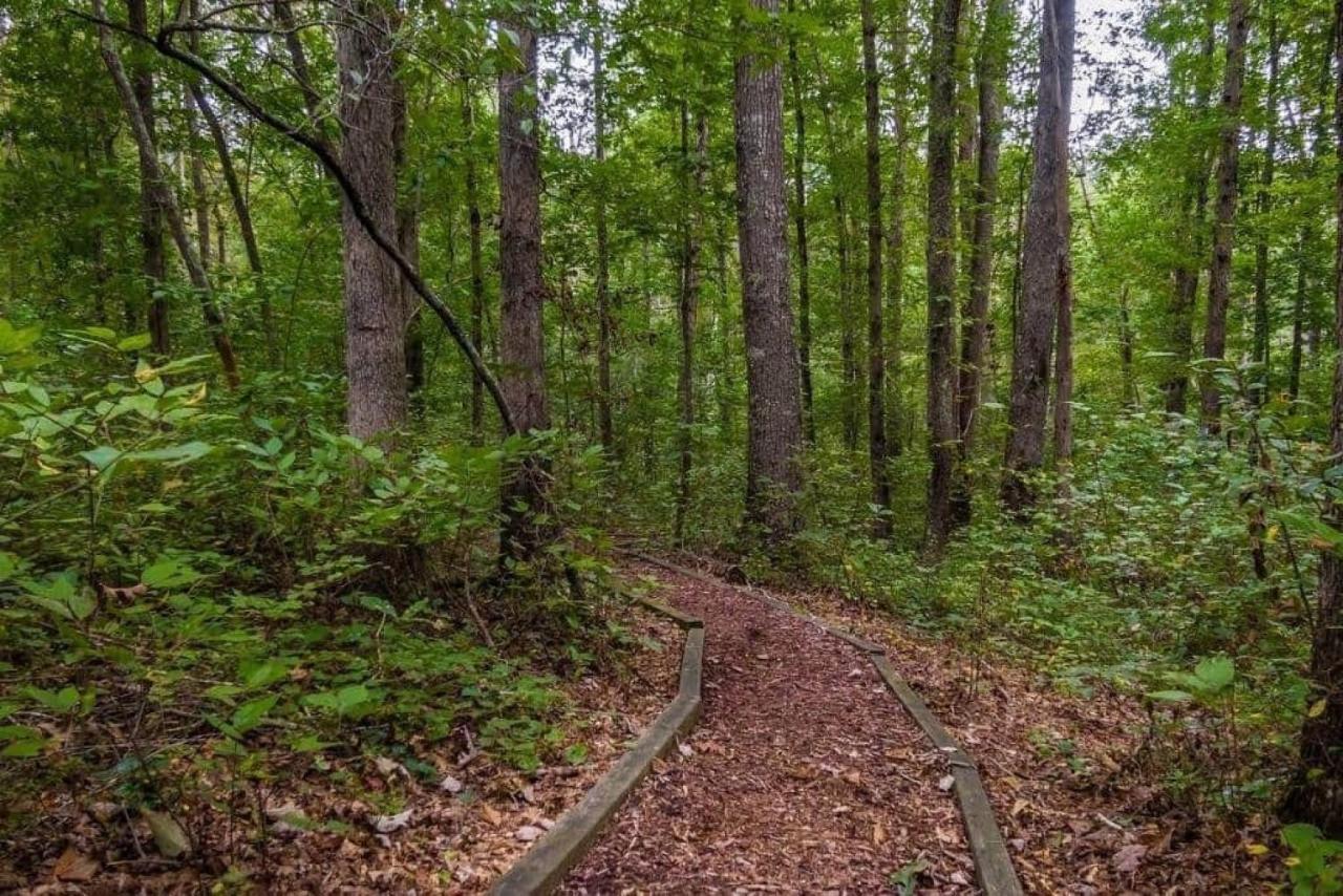 Serenity Escape Treehouse On 14 Acres Near Little River Canyon Fort Payne Exterior foto