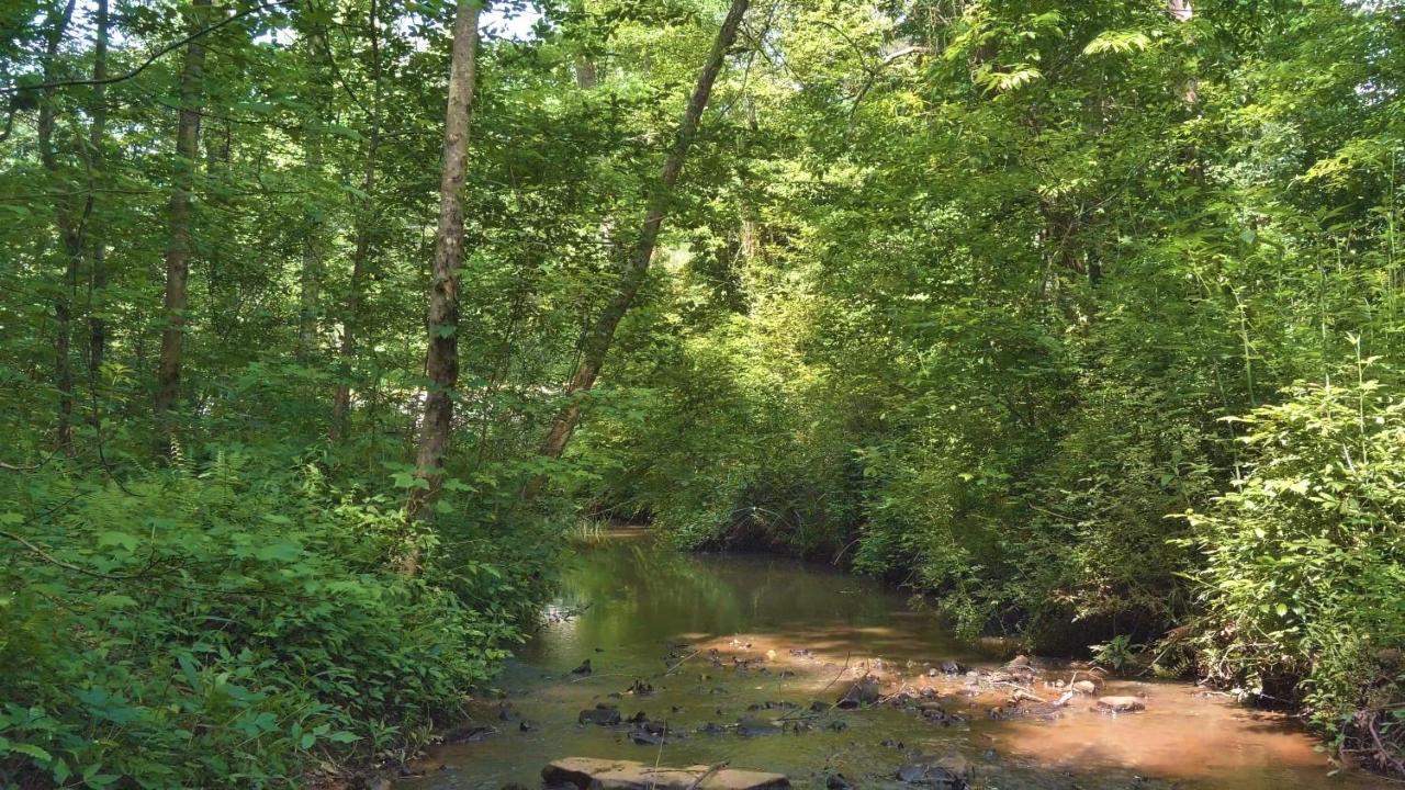 Serenity Escape Treehouse On 14 Acres Near Little River Canyon Fort Payne Exterior foto