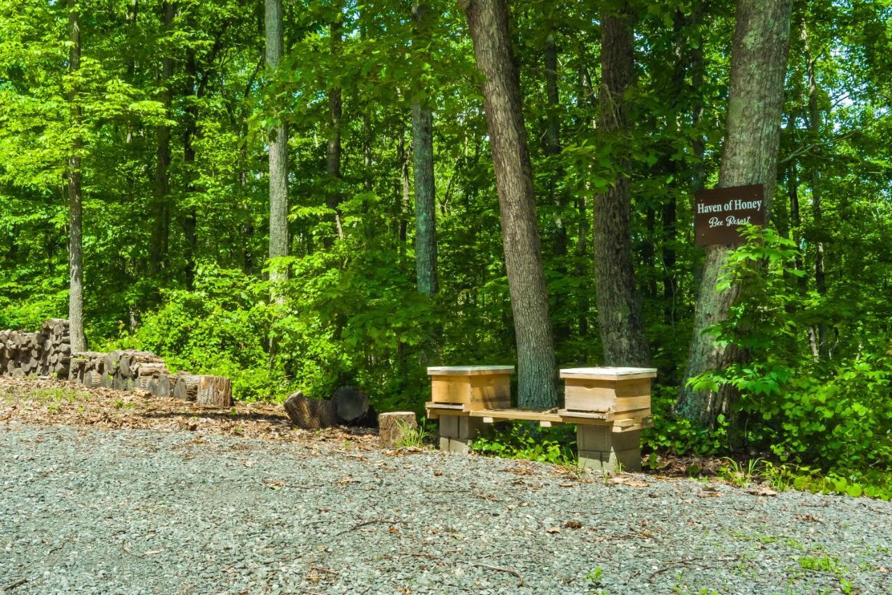 Serenity Escape Treehouse On 14 Acres Near Little River Canyon Fort Payne Exterior foto